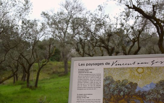 The Scenery Van Gogh saw ゴッホも見たサンレミの景色
