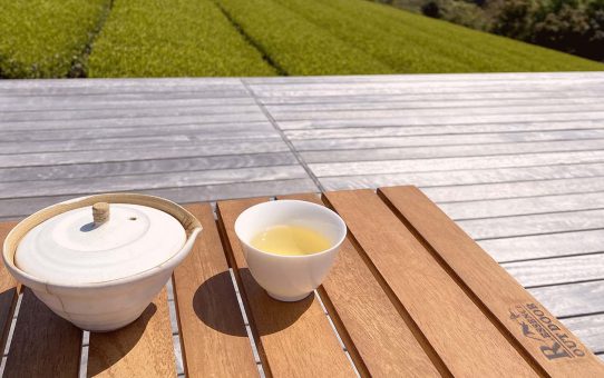 The Stunning Green and Tea in Makinohara  牧之原台地の鮮やかな緑の茶席